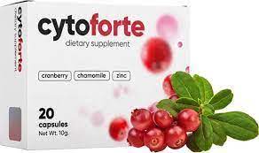 Cyto Forte - où acheter - en pharmacie - sur Amazon - site du fabricant - prix